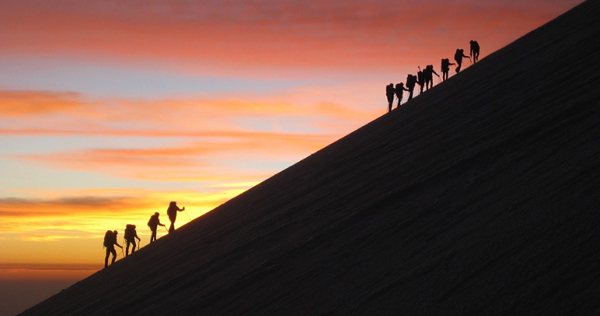 �ɼ���ֵ ��ר����