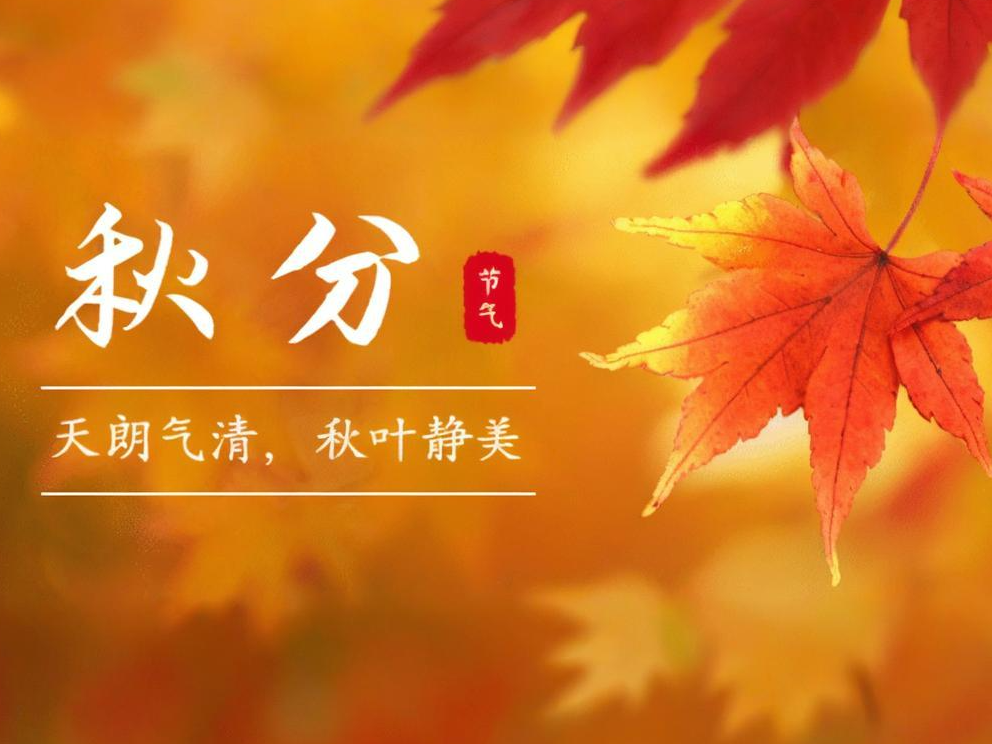 ��� | һҶ֪�����������������ľ�������