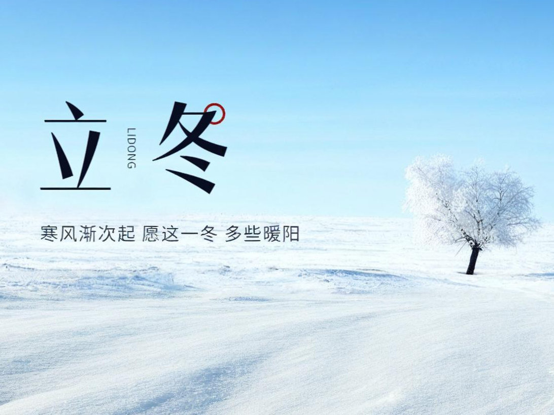 ���� | ������������������������